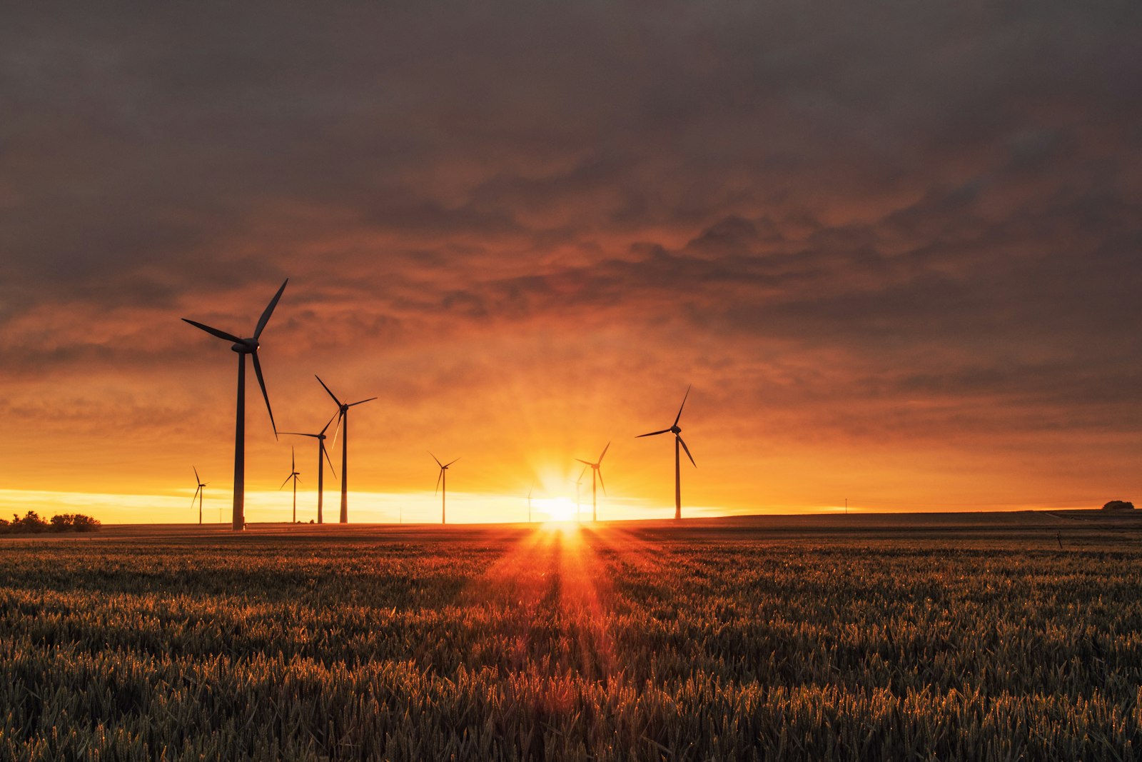Windkraftanlage, Aufstieg und Service